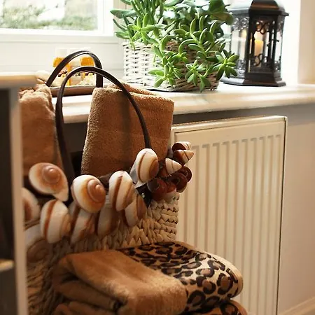 Apartment Rosa Teplice