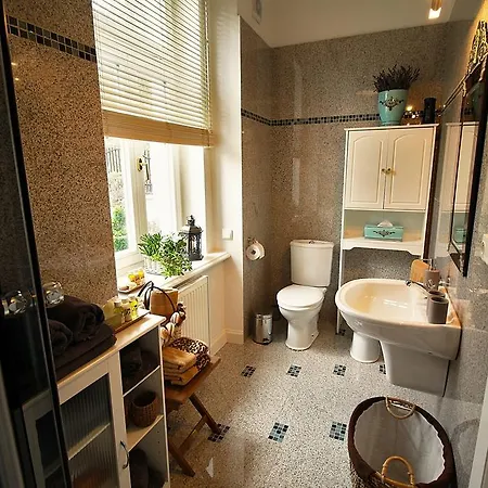 Apartment Rosa Teplice